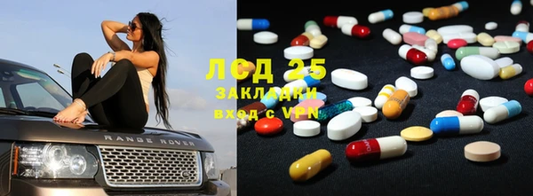 крисы Алзамай