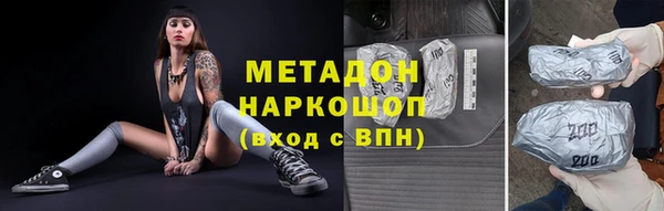 индика Алексин