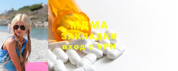 индика Алексин
