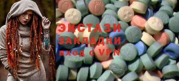 индика Алексин
