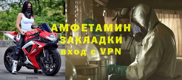 индика Алексин
