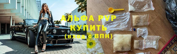 крисы Алзамай